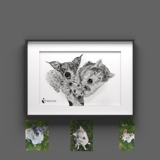 Hund gezeichnet Hundezeichnung Bleistift bilder hundekopf malen lassen