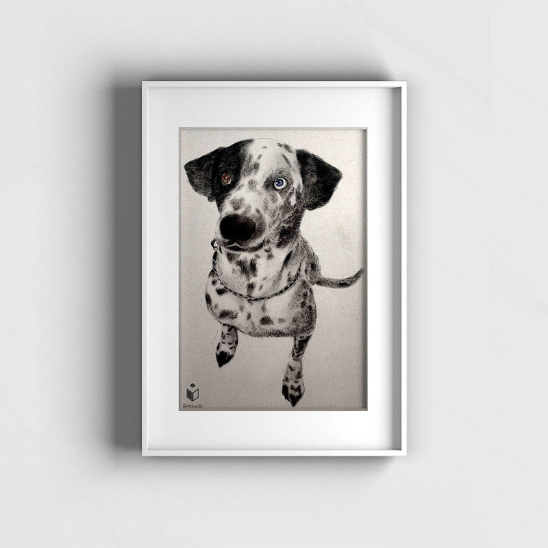 Hundezeichnung - Sketchus